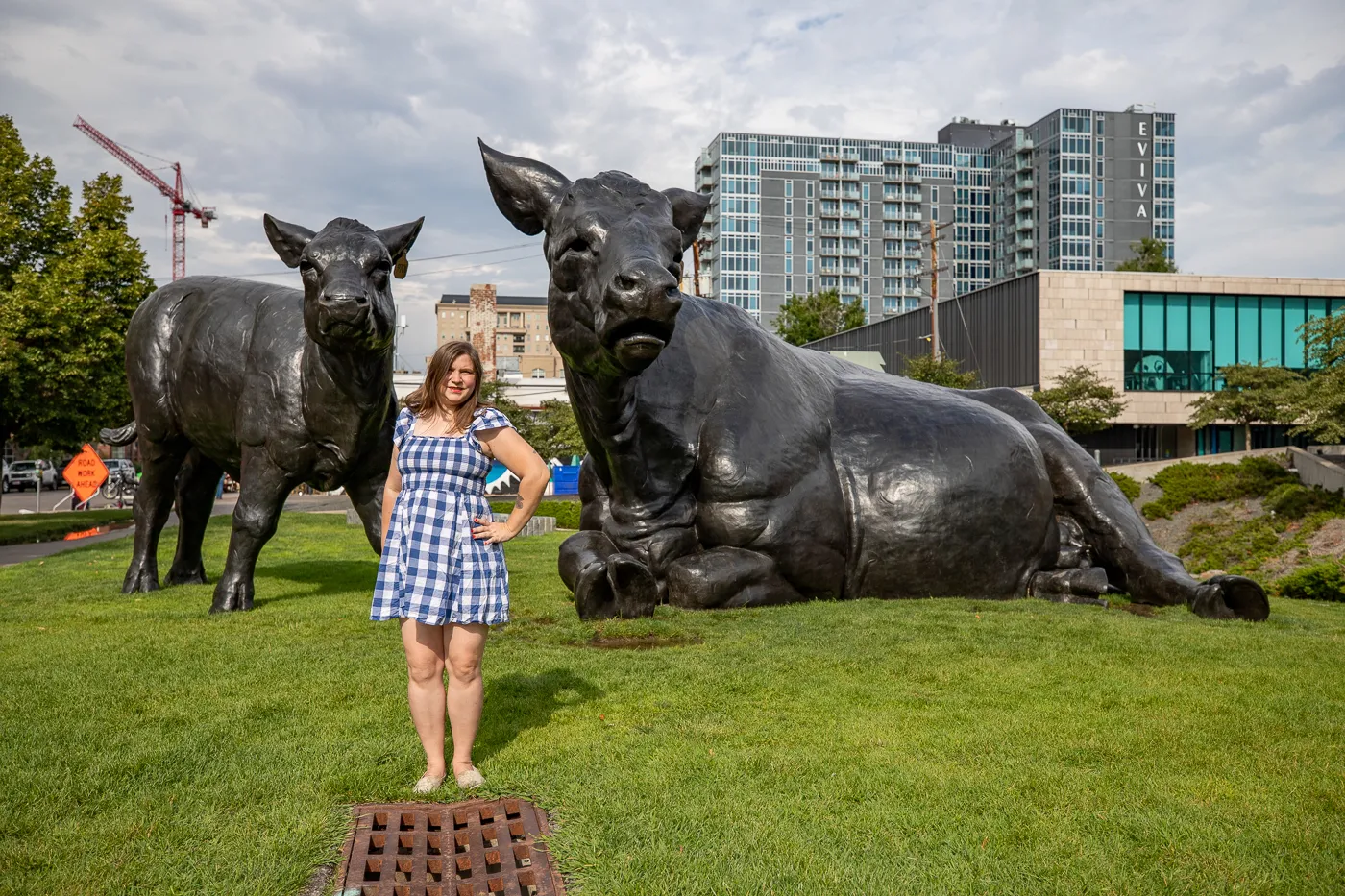 Scottish Angus Cow & Calf - Giant Cows in Denver, Colorado roadside attraction