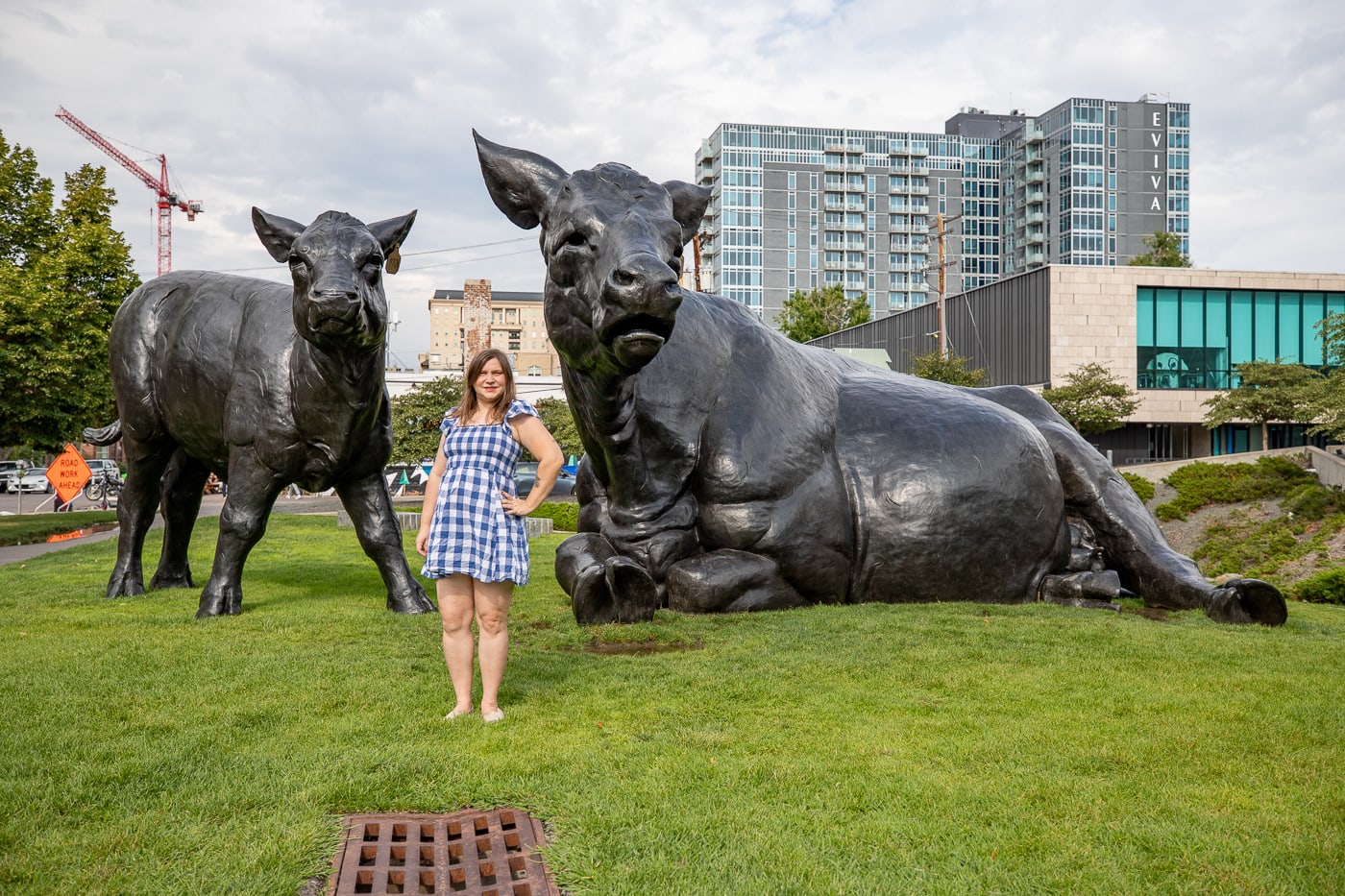 Scottish Angus Cow & Calf - Giant Cows in Denver, Colorado roadside attraction