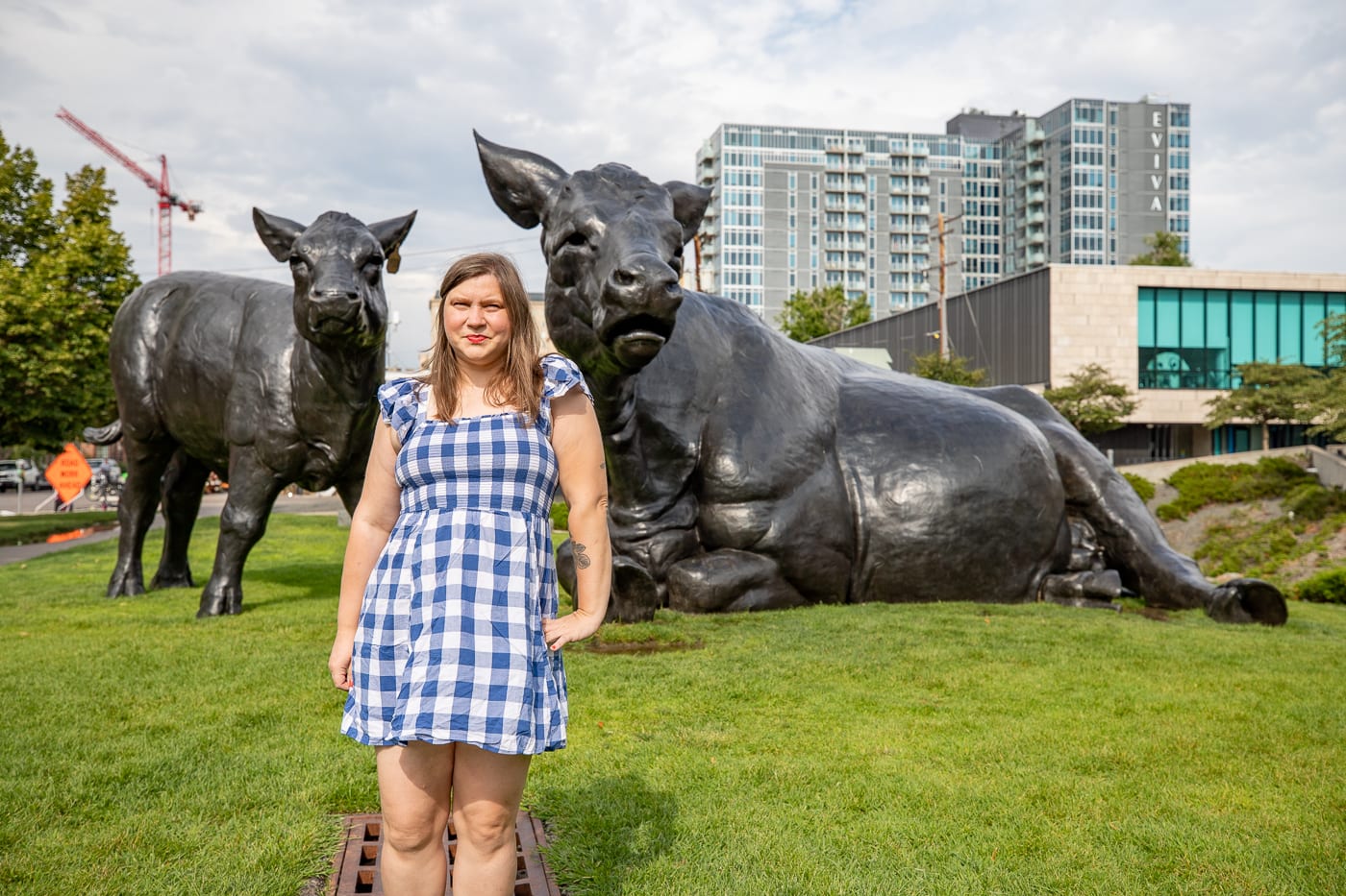 Scottish Angus Cow & Calf - Giant Cows in Denver, Colorado roadside attraction