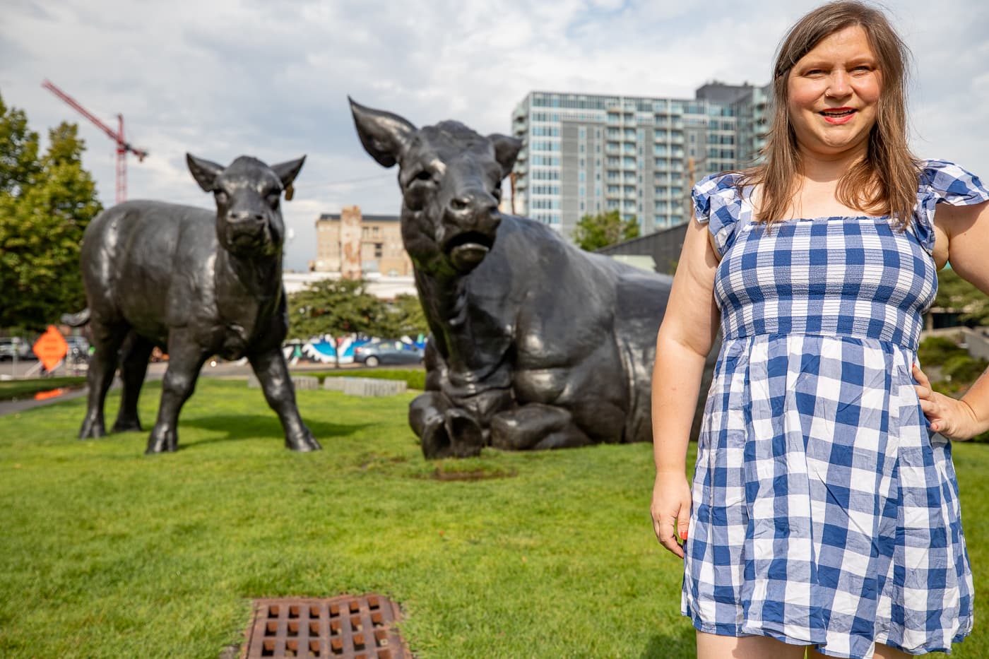 Scottish Angus Cow & Calf - Giant Cows in Denver, Colorado roadside attraction