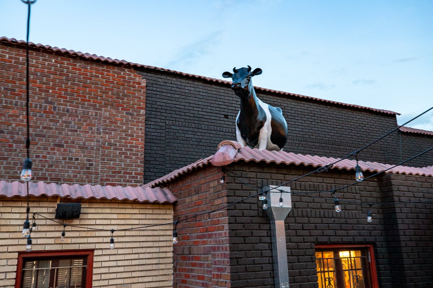 Little Man Ice Cream - Giant Milk Can Ice Cream Shop in Denver, Colorado roadside attraction