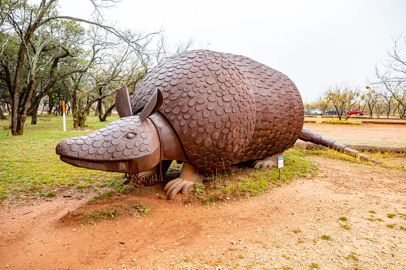 Barbadilla: the Giant Armadillo in Buffalo Gap, Texas