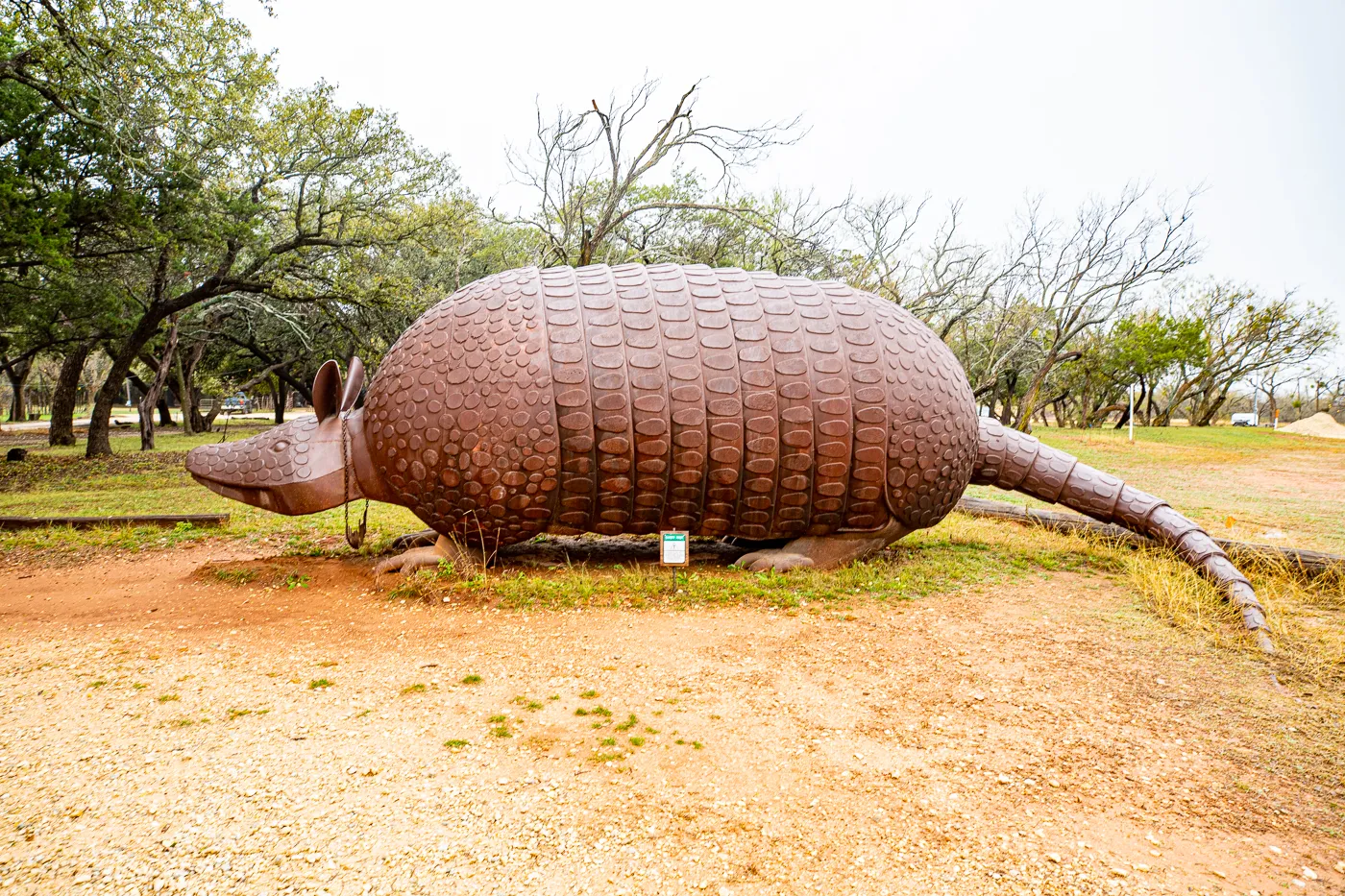 Barbadilla: the Giant Armadillo in Buffalo Gap, Texas