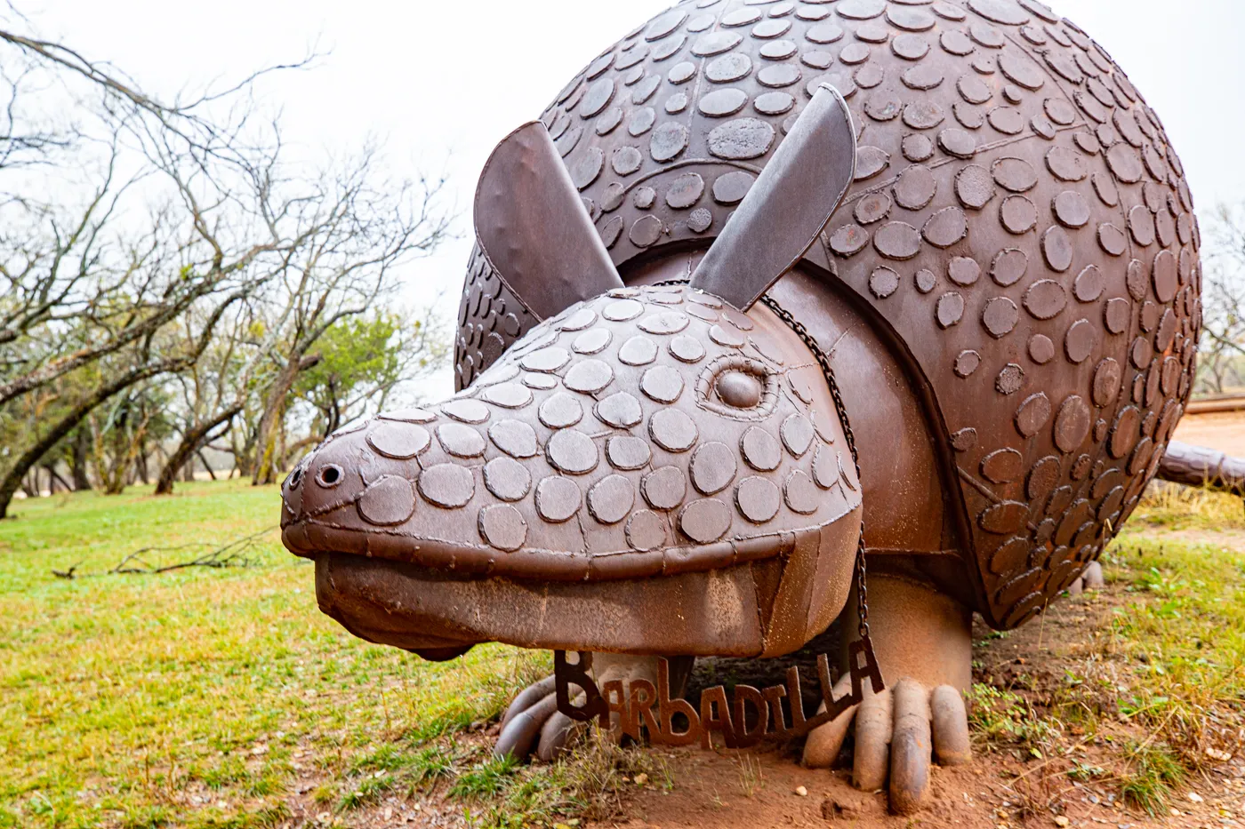 Barbadilla: the Giant Armadillo in Buffalo Gap, Texas