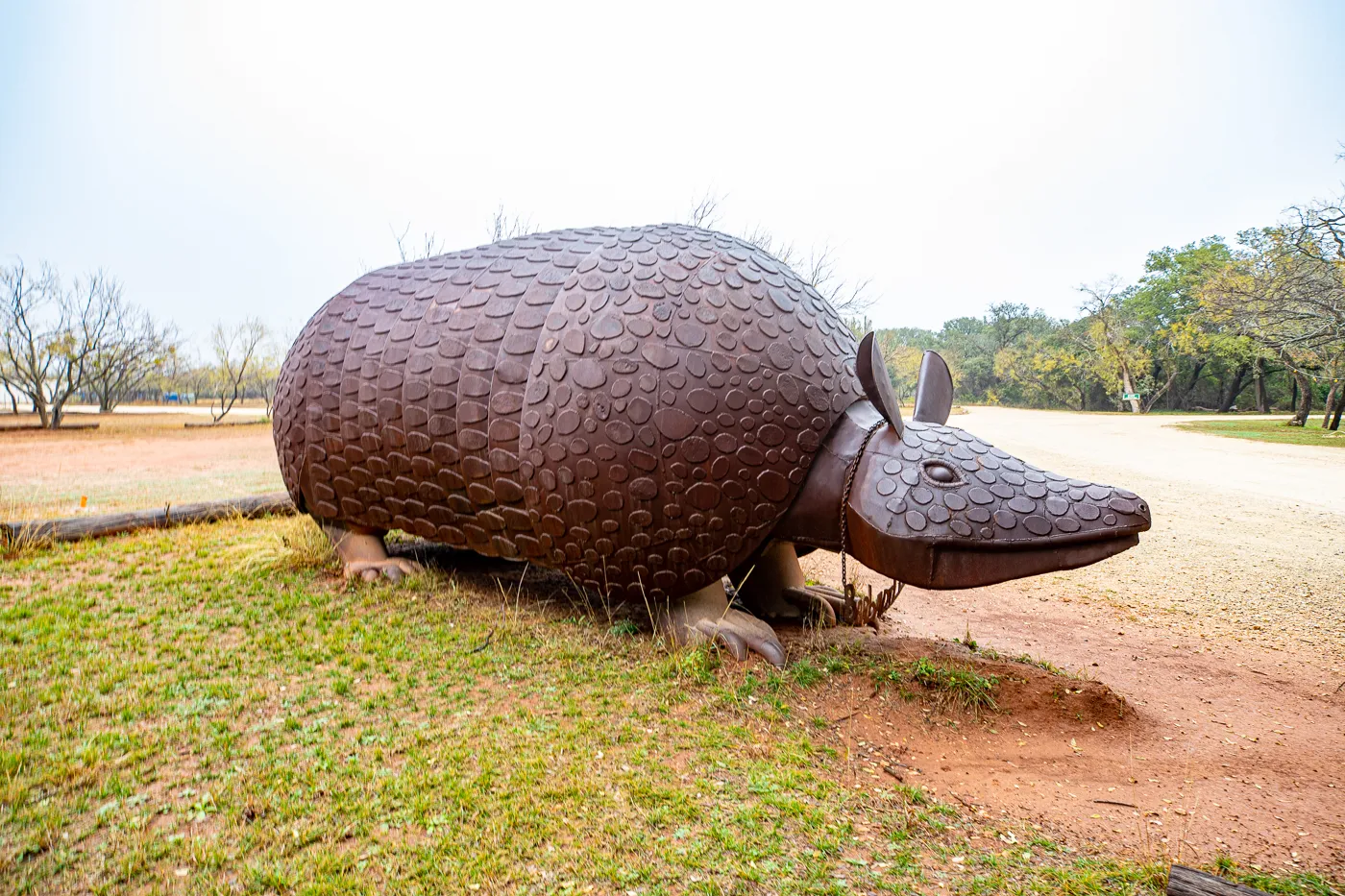 Barbadilla: the Giant Armadillo in Buffalo Gap, Texas