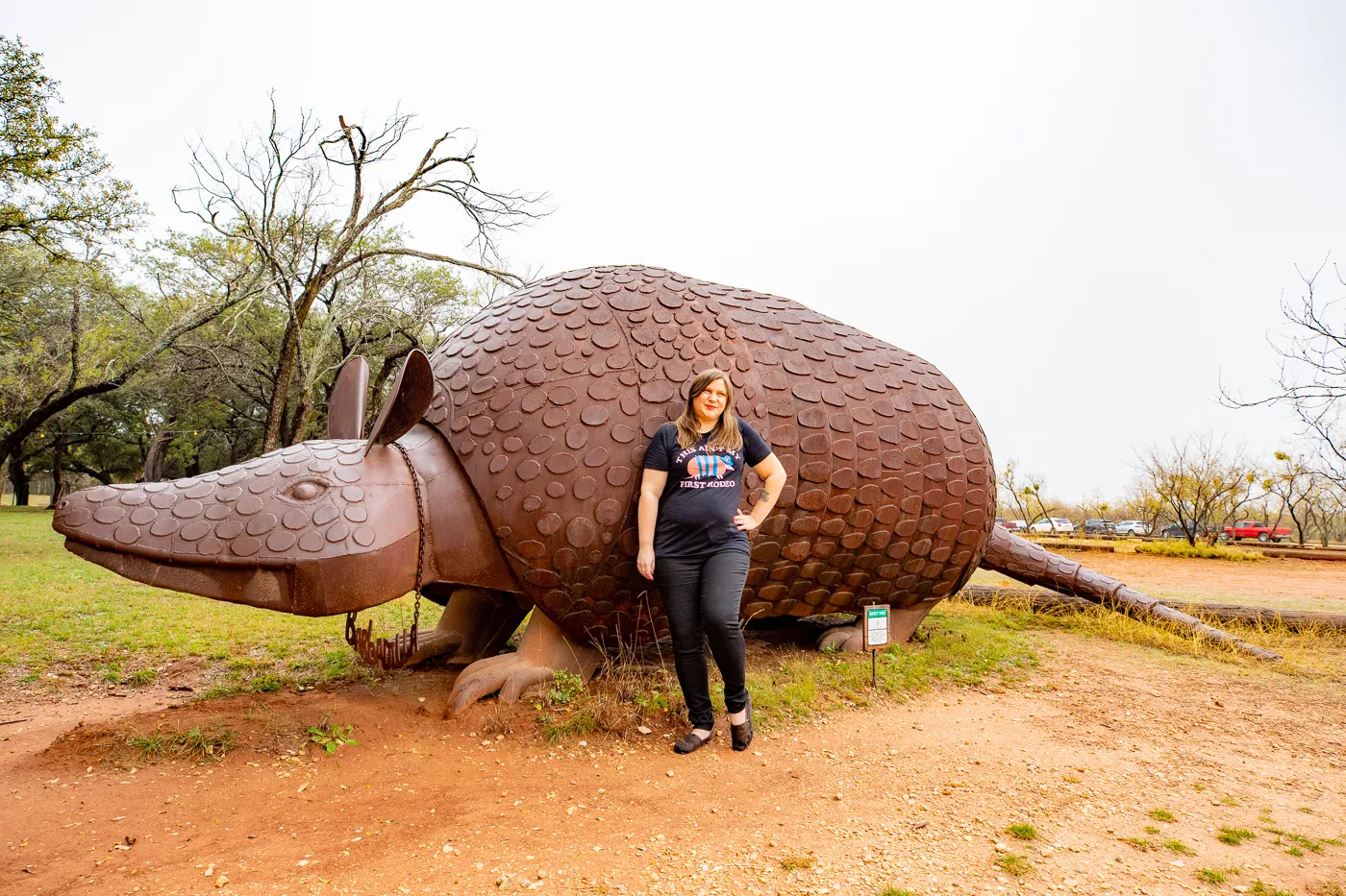 Barbadilla: the Giant Armadillo in Buffalo Gap, Texas