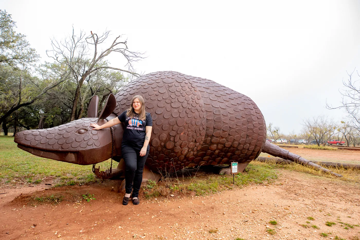 Barbadilla: the Giant Armadillo in Buffalo Gap, Texas