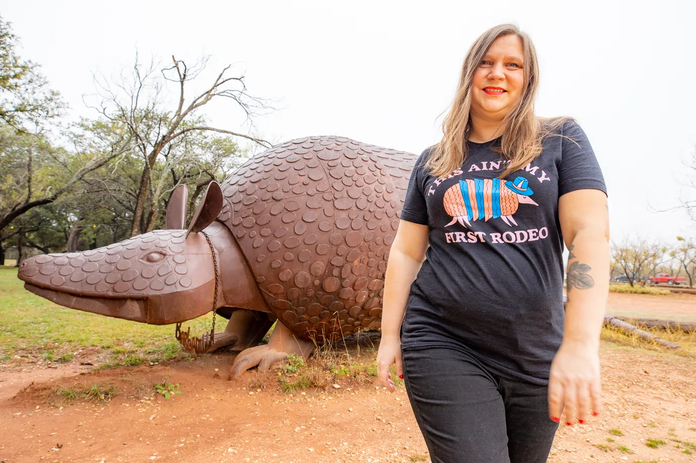 Barbadilla: the Giant Armadillo in Buffalo Gap, Texas