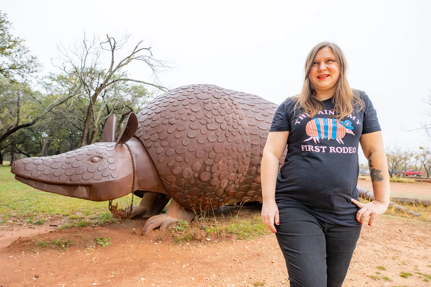 Barbadilla: the Giant Armadillo in Buffalo Gap, Texas