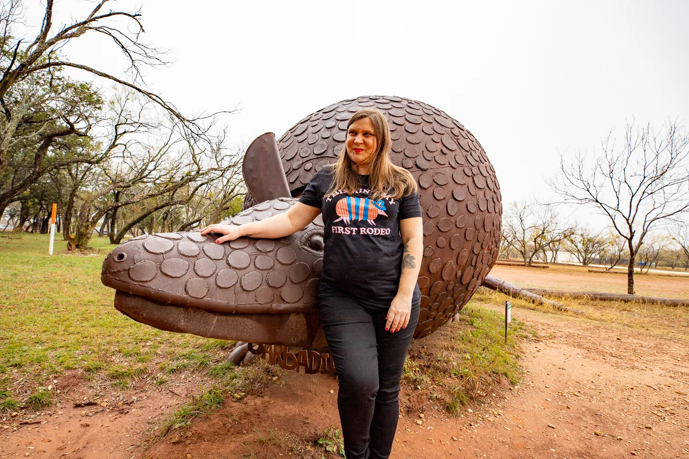 Barbadilla: the Giant Armadillo in Buffalo Gap, Texas