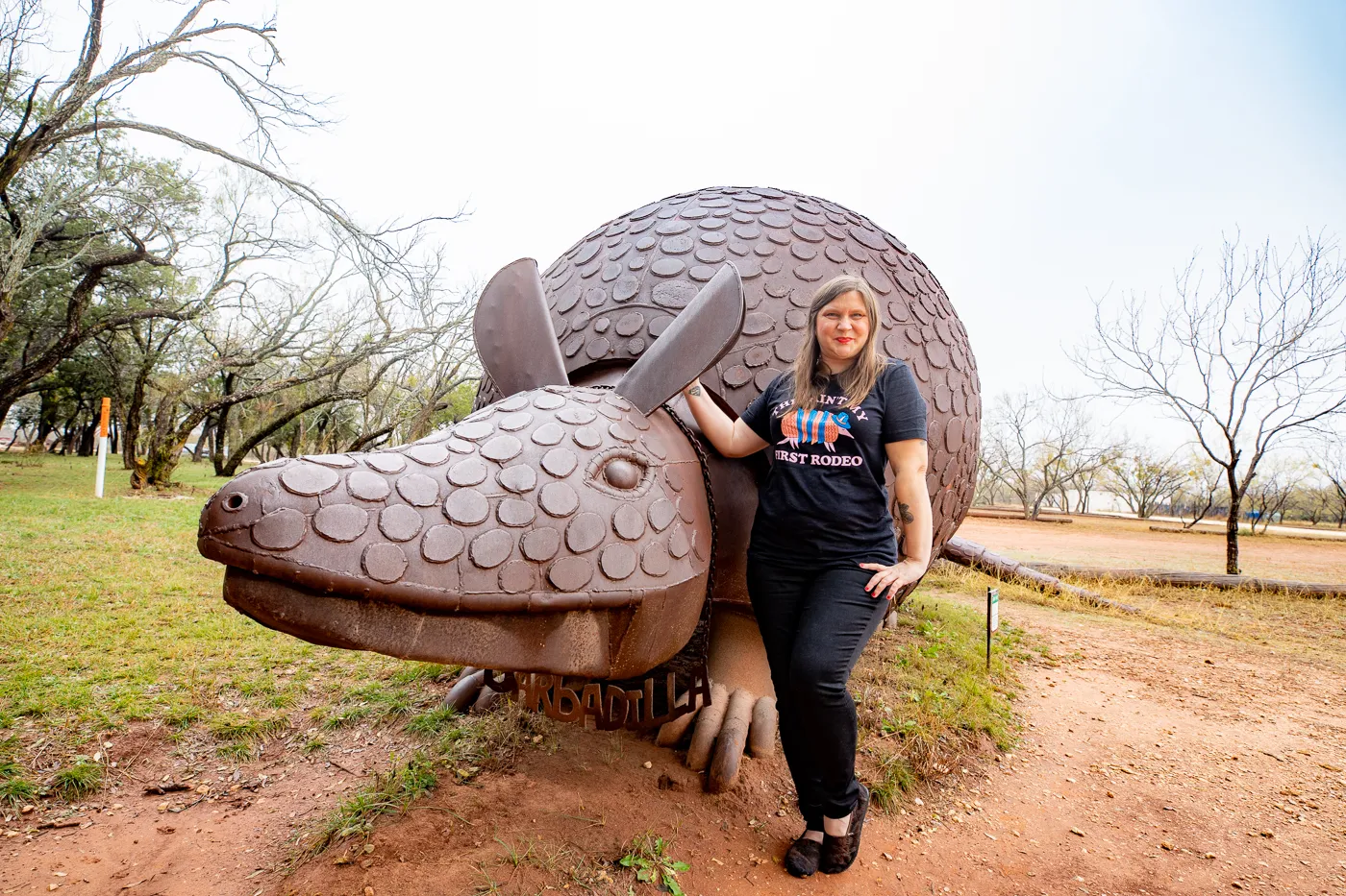 Barbadilla: the Giant Armadillo in Buffalo Gap, Texas