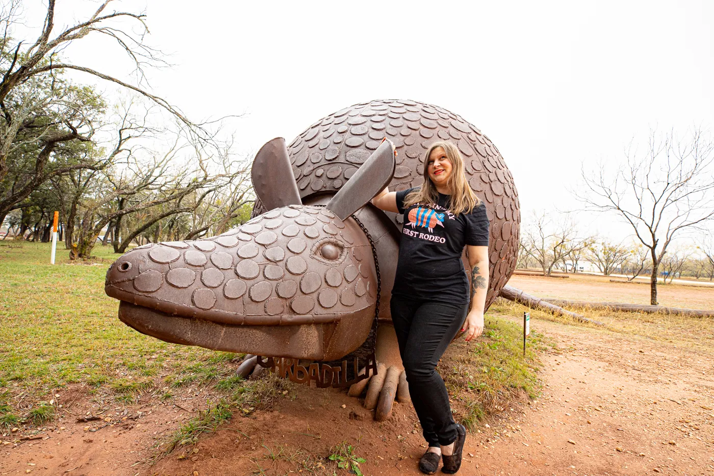 Barbadilla: the Giant Armadillo in Buffalo Gap, Texas