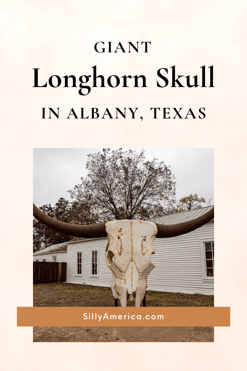 Taking a road trip and looking for the best roadside attractions in Texas? Find this Giant Longhorn Skull in Albany, Texas. The sculpture was created by Albany artist Joe Barrington of Red Star Studio. He is also behind other big skulls in Abilene and Throckmorton, along with numerous other sculptures of birds, horseshoes, and more that you'll find around Texas. #RoadsideAttraction #RoadsideAttractions #LonghornSkull