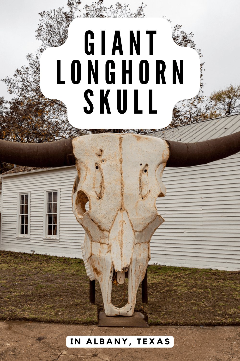 Taking a road trip and looking for the best roadside attractions in Texas? Find this Giant Longhorn Skull in Albany, Texas. The sculpture was created by Albany artist Joe Barrington of Red Star Studio. He is also behind other big skulls in Abilene and Throckmorton, along with numerous other sculptures of birds, horseshoes, and more that you'll find around Texas. #RoadsideAttraction #RoadsideAttractions #LonghornSkull