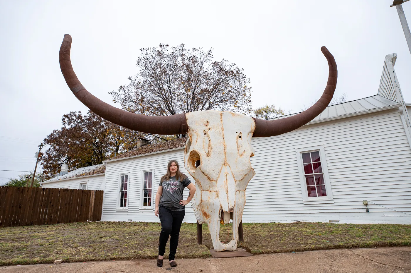 Giant Longhorn Skull in Albany, Texas