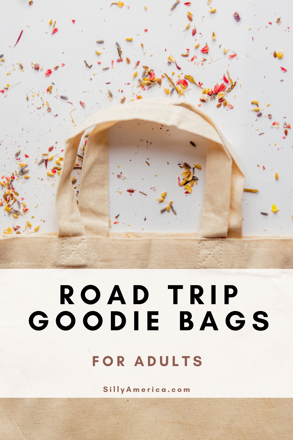 Just Say No to Baby Flight Goody Bags | Have Baby Will Travel