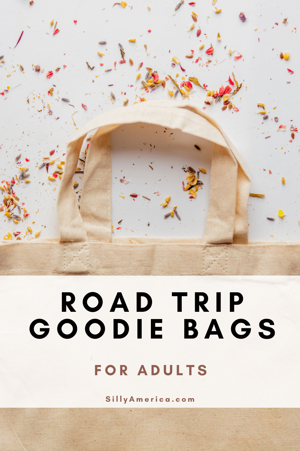 Road trips are a fun way to travel. If you want to make your travels even more fun for everyone in the car, consider putting together some road trip goodie bags for adults that provide practical and entertaining items that everyone will use. Want some ideas for what to put in a road trip goodie bag for adults? Read on for some different categories of items to include and ideas and inspiration for each! #RoadTrip #RoadTripGoodieBags #RoadTripGoodieBagsForAdults #RoadTripPlanning