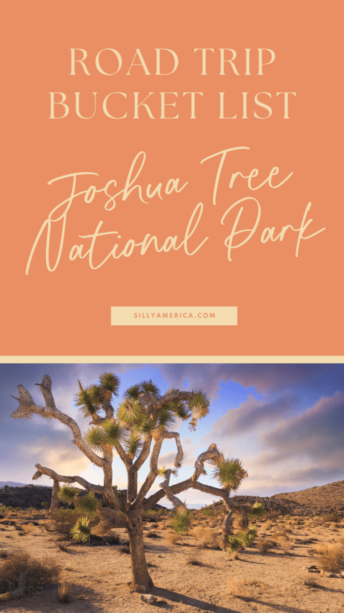 Road Trip Bucket List National Parks - Joshua Tree National Park