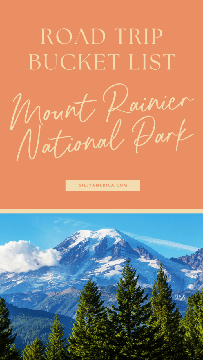 Road Trip Bucket List National Parks - Mount Rainier National Park