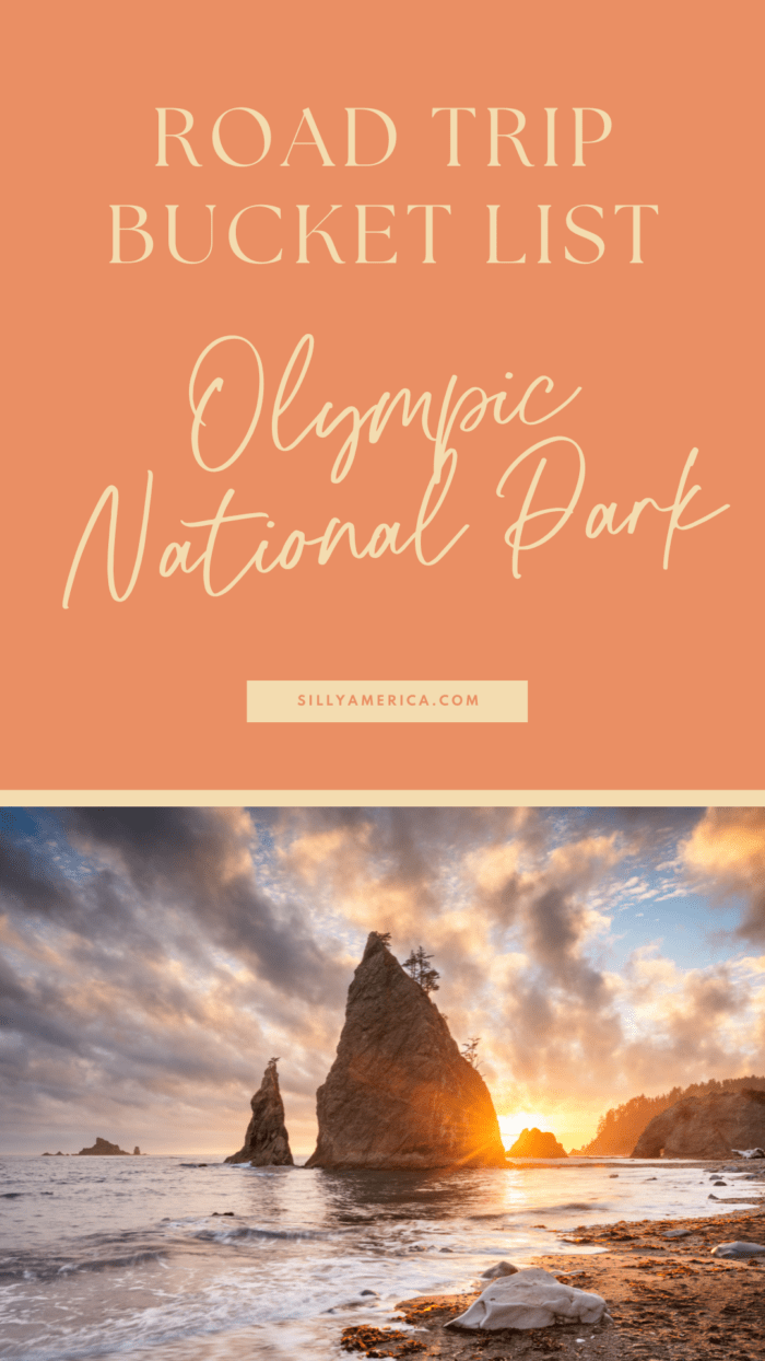 Road Trip Bucket List National Parks - Olympic National Park