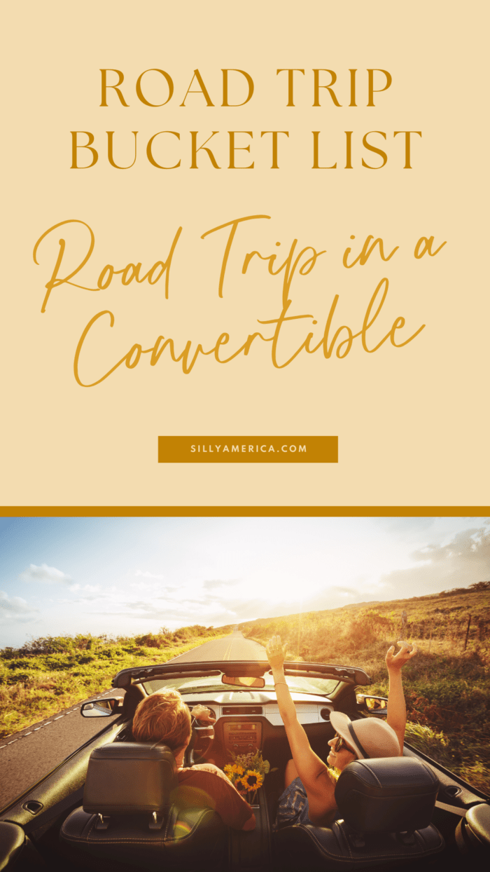 Road Trip Bucket List Ideas - Road Trip in a Convertible