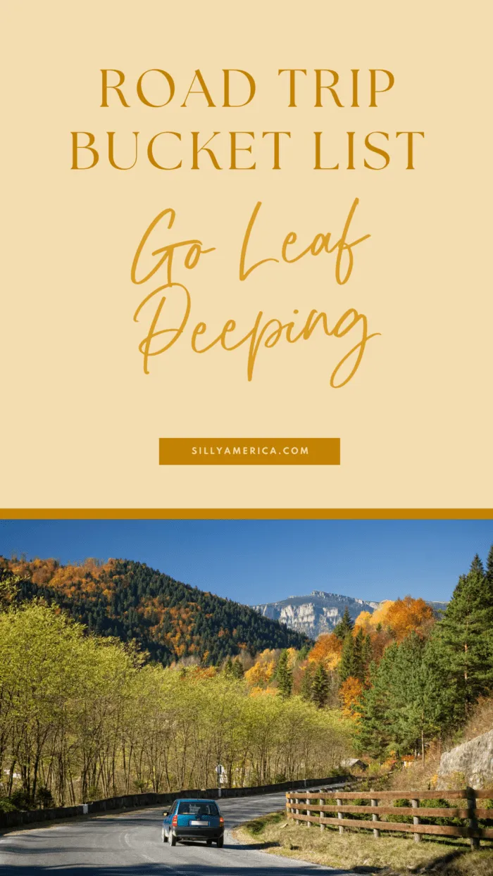 Road Trip Bucket List Ideas - Go Leaf Peeping
