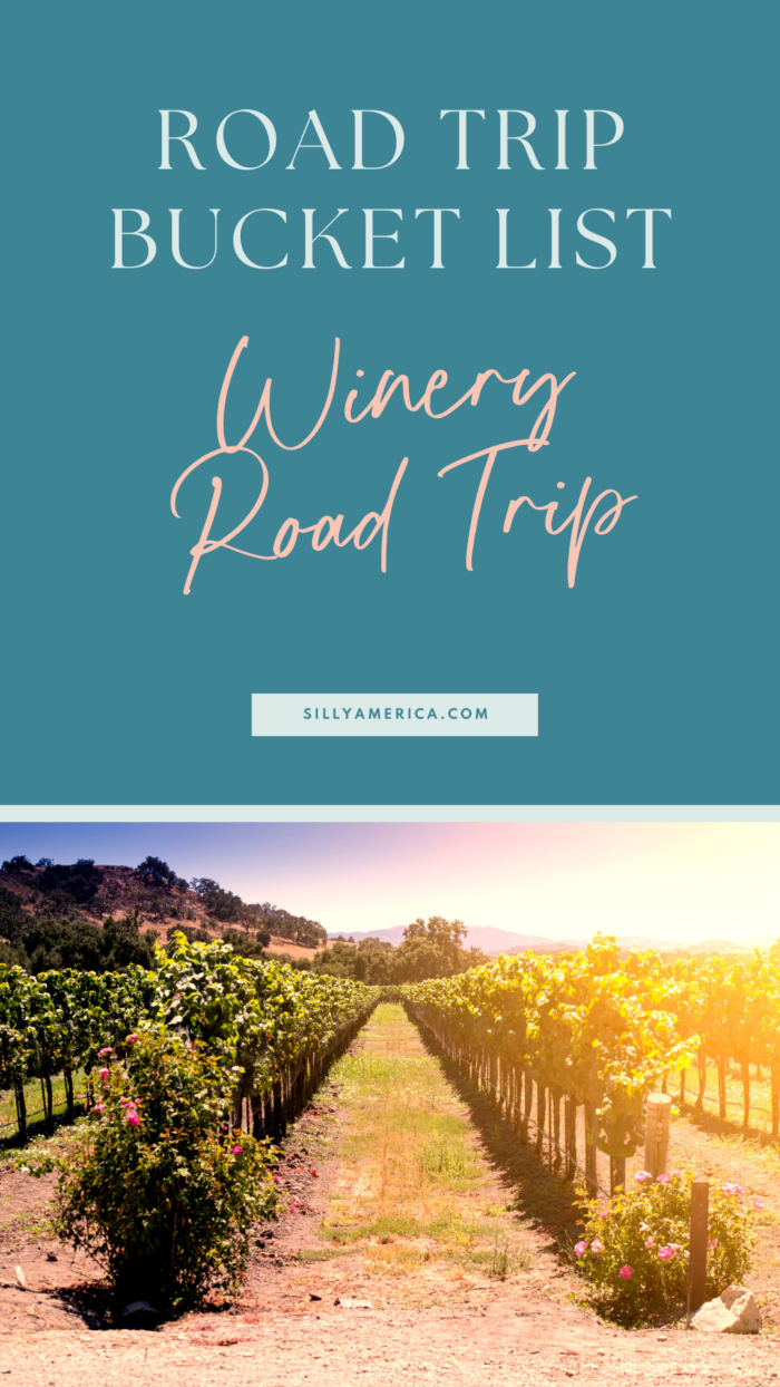 Road Trip Bucket List Ideas - Winery Road Trip