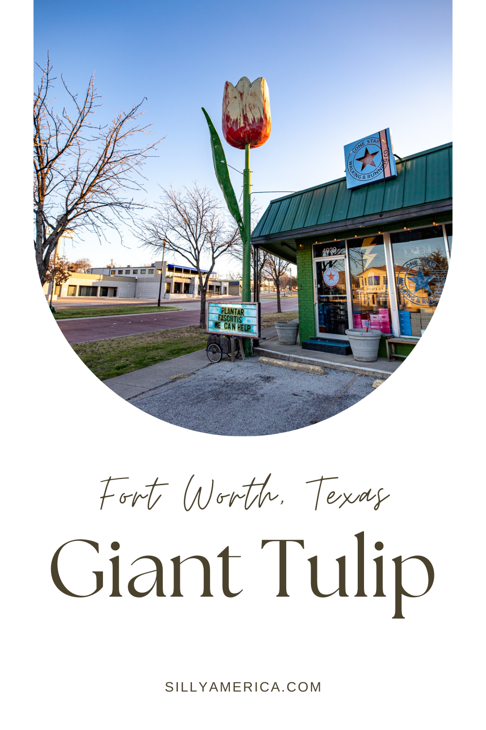 Visit the giant tulip roadside attraction Fort Worth, Texas on your next Texas road trip. Add this fun and weird roadside attraction to your travel itinerary. The 20-foot tall big flower can be found at the athletic store, Lone Star Walking & Running Co. in Fort Worth. #RoadTrip #TexasRoadTrip #Texas #FortWorth #FortWorthRoadTrip #RoadsideAttraction #RoadsideAttractions #TexasRoadsideAttraction #RoadsideAmerica