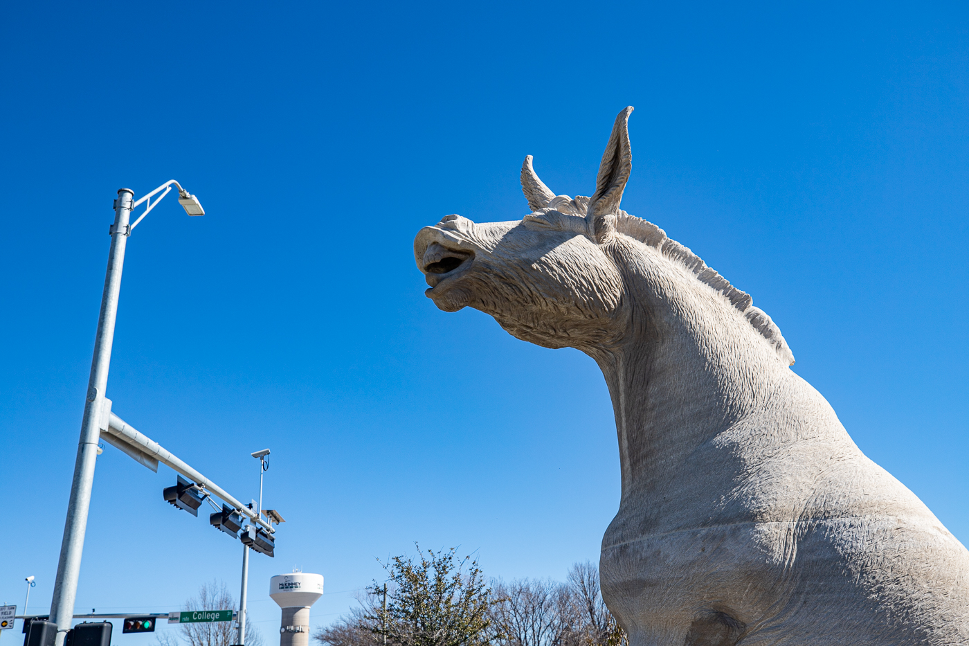 LMAO Sculpture in McKinney, Texas (Mule Statue)