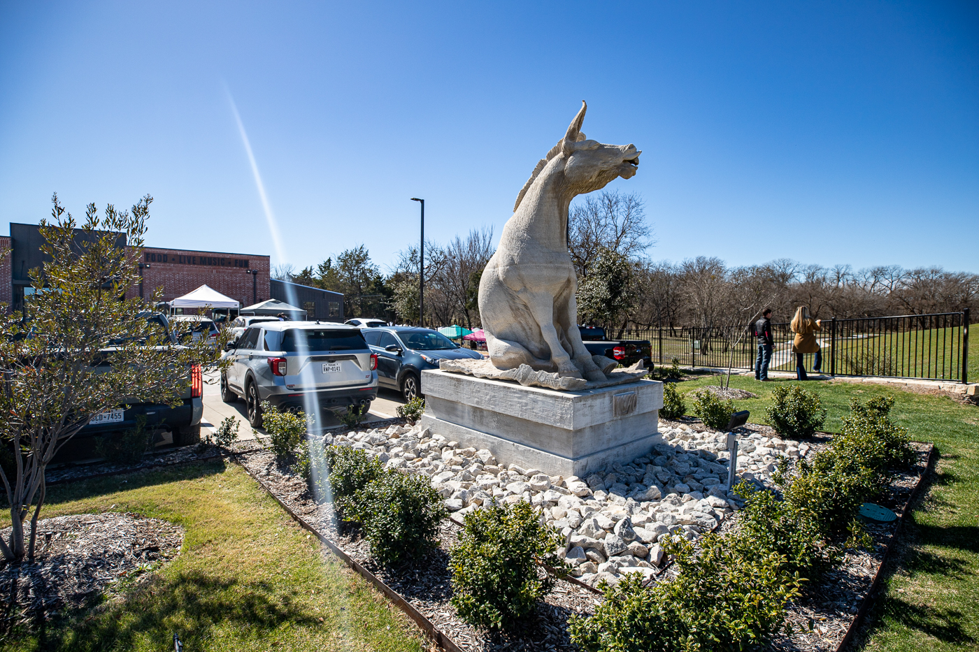 LMAO Sculpture in McKinney, Texas (Mule Statue)