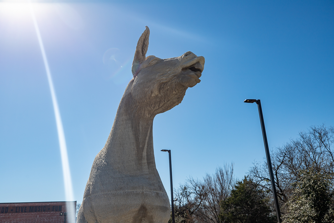 LMAO Sculpture in McKinney, Texas (Mule Statue)