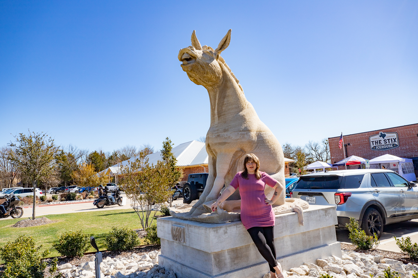 LMAO Sculpture in McKinney, Texas (Mule Statue)