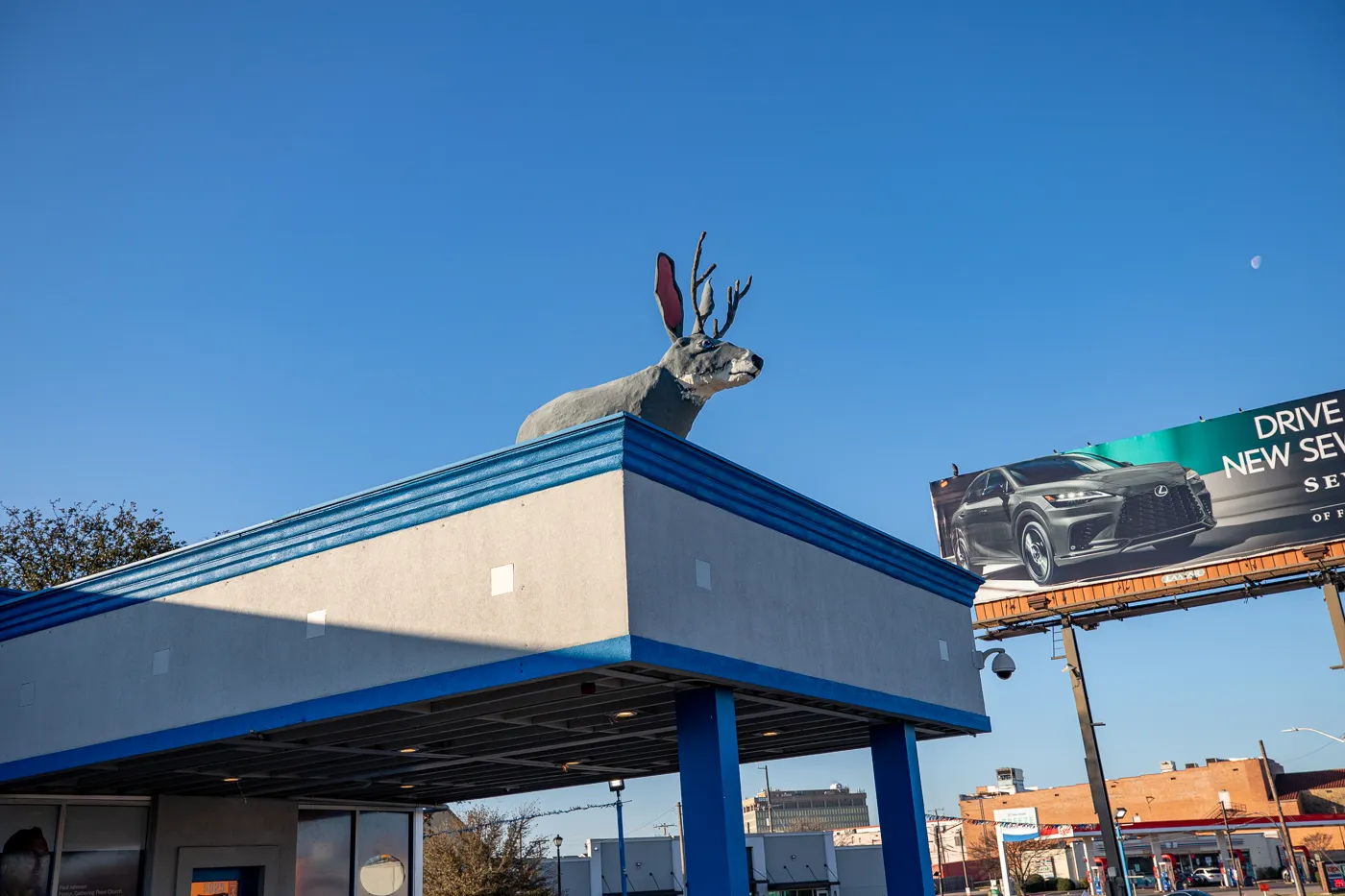 Big Jackalope on a Roof in Fort Worth, Texas Roadside Attraction