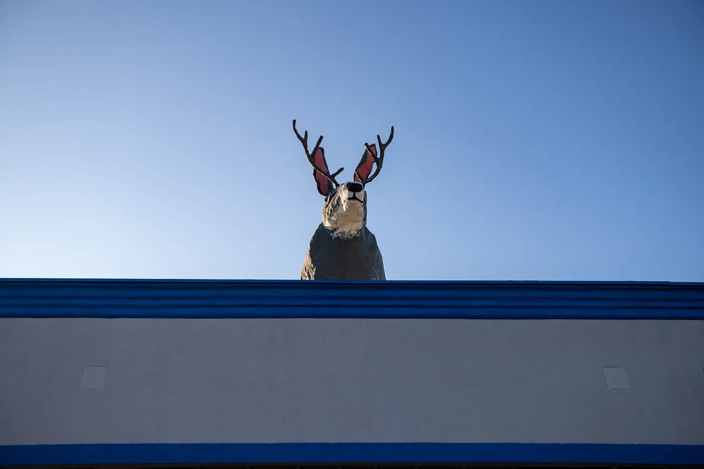 Big Jackalope on a Roof in Fort Worth, Texas Roadside Attraction