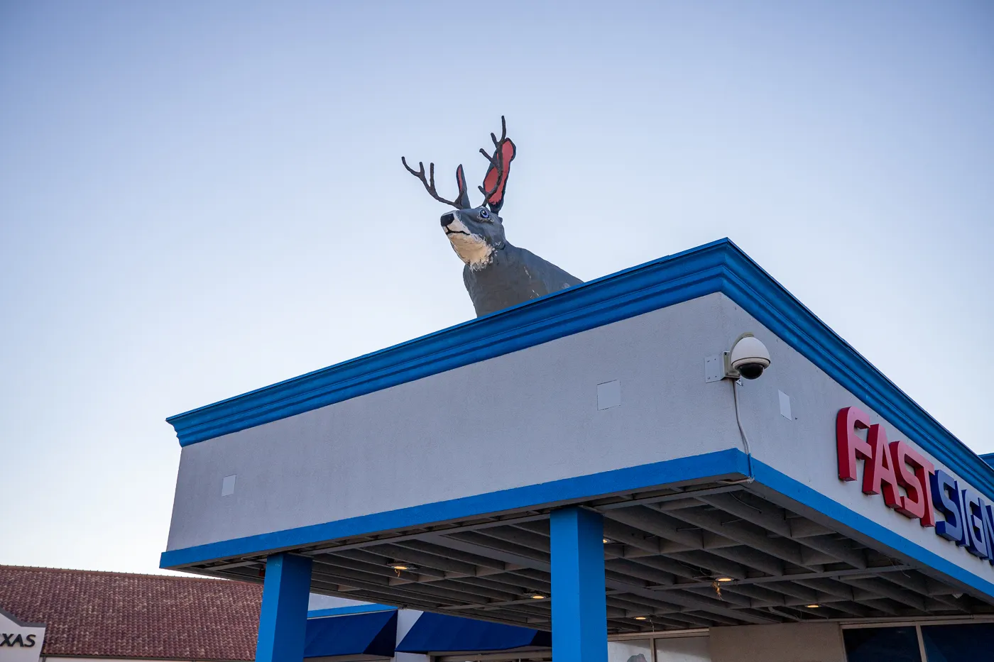 Big Jackalope on a Roof in Fort Worth, Texas Roadside Attraction