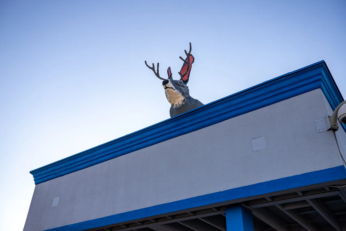 Big Jackalope on a Roof in Fort Worth, Texas Roadside Attraction