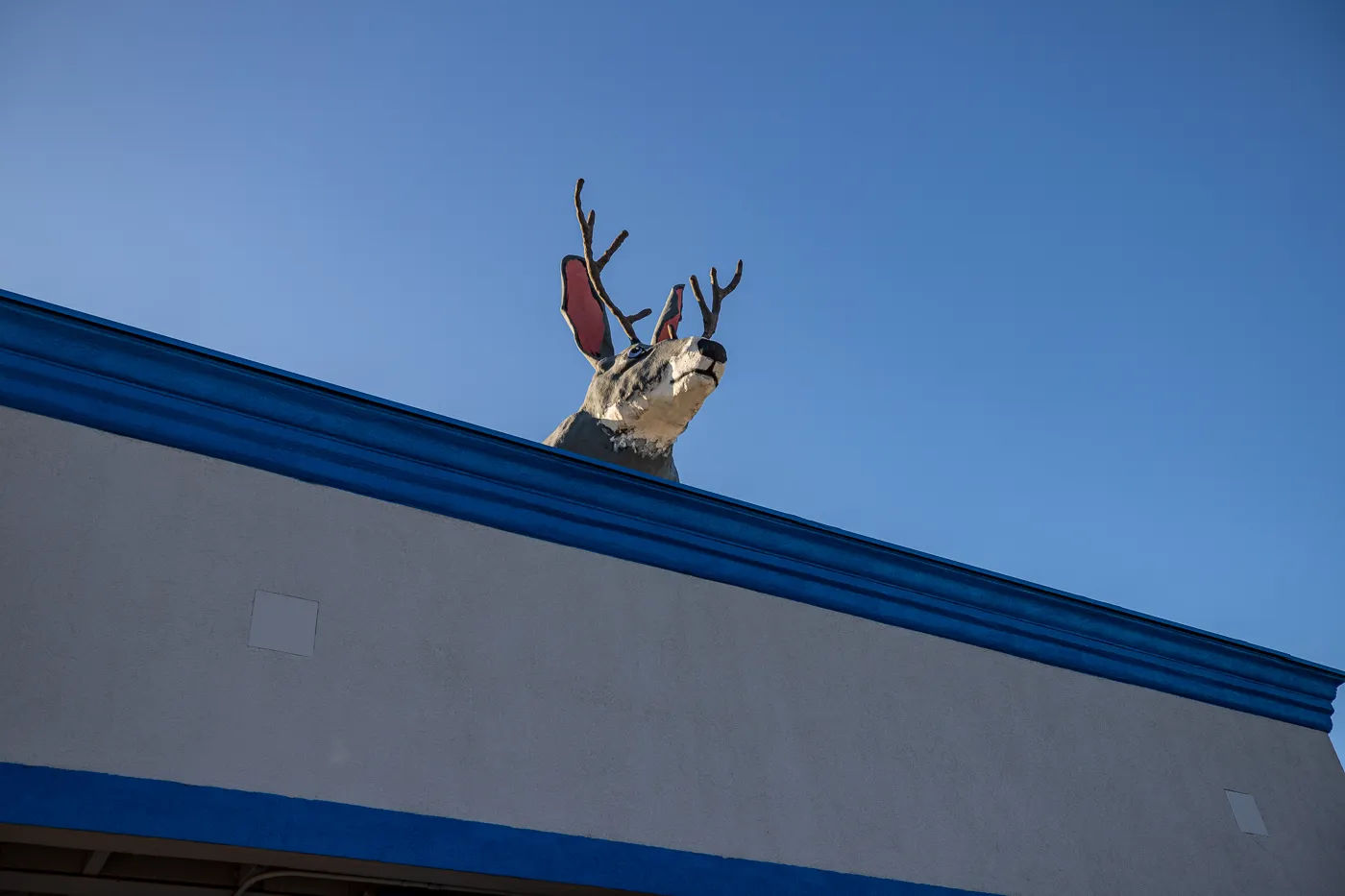 Big Jackalope on a Roof in Fort Worth, Texas Roadside Attraction
