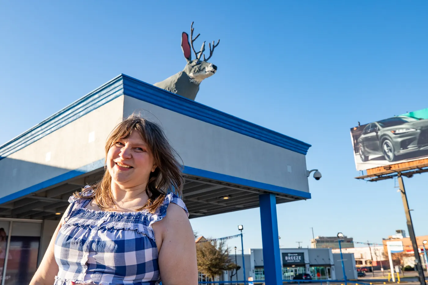 Big Jackalope on a Roof in Fort Worth, Texas Roadside Attraction