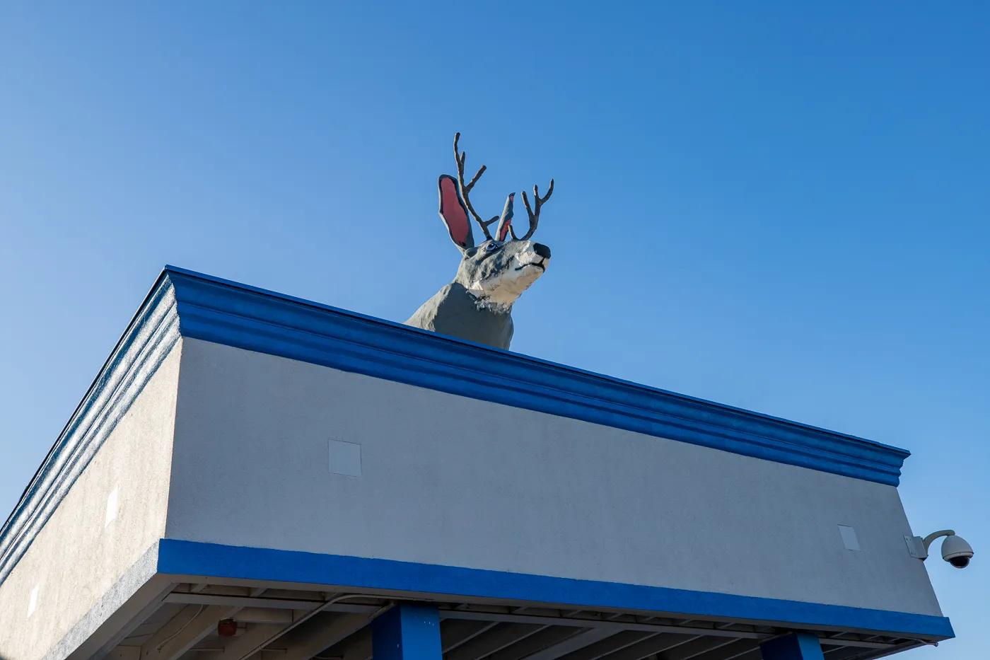 Big Jackalope on a Roof in Fort Worth, Texas Roadside Attraction