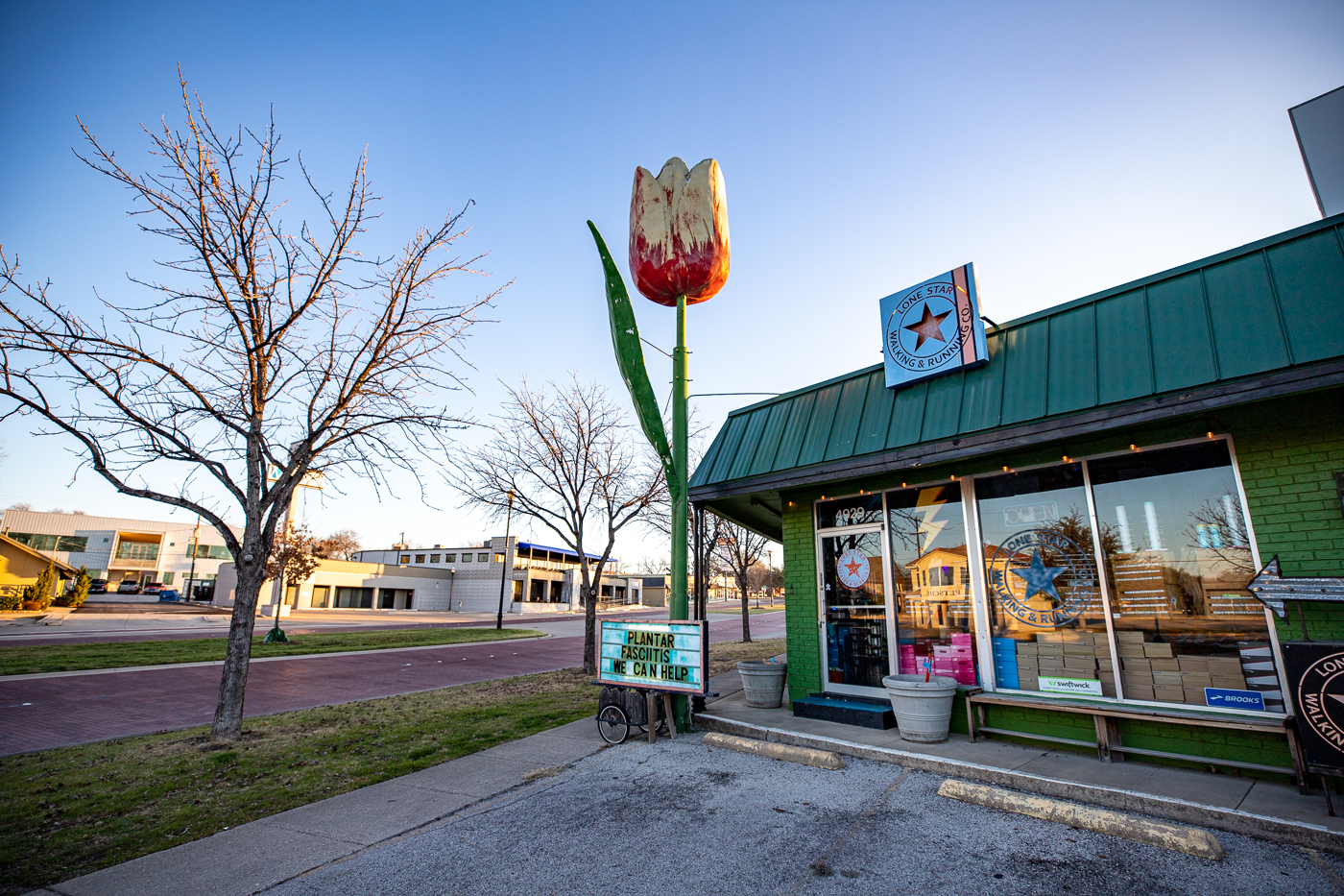 Giant Tulip in Fort Worth, Texas roadside attraction