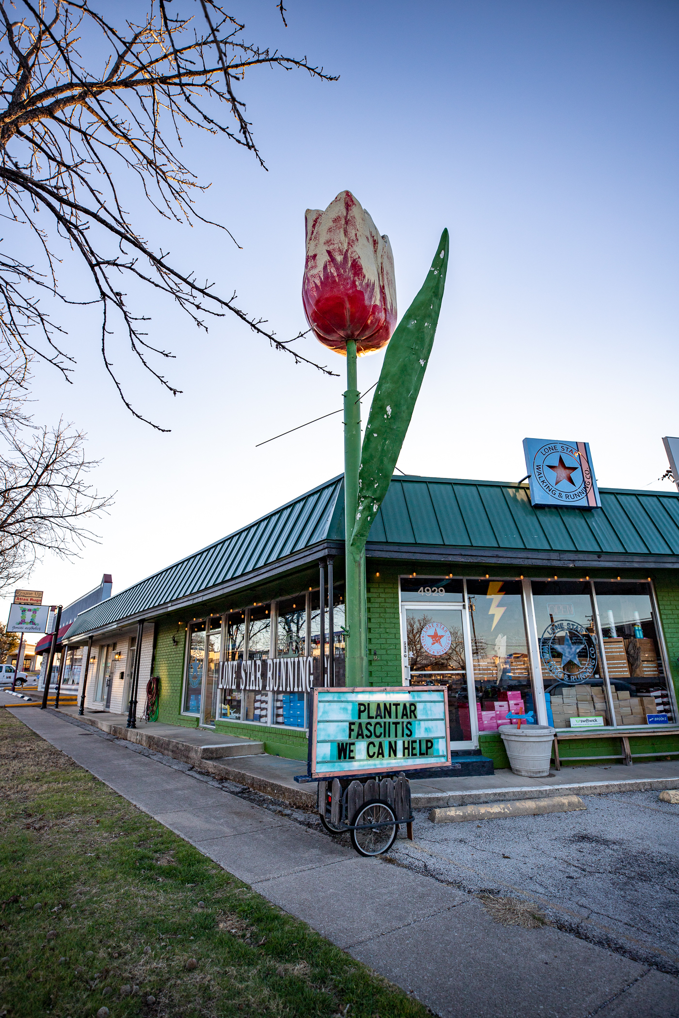 Giant Tulip in Fort Worth, Texas roadside attraction