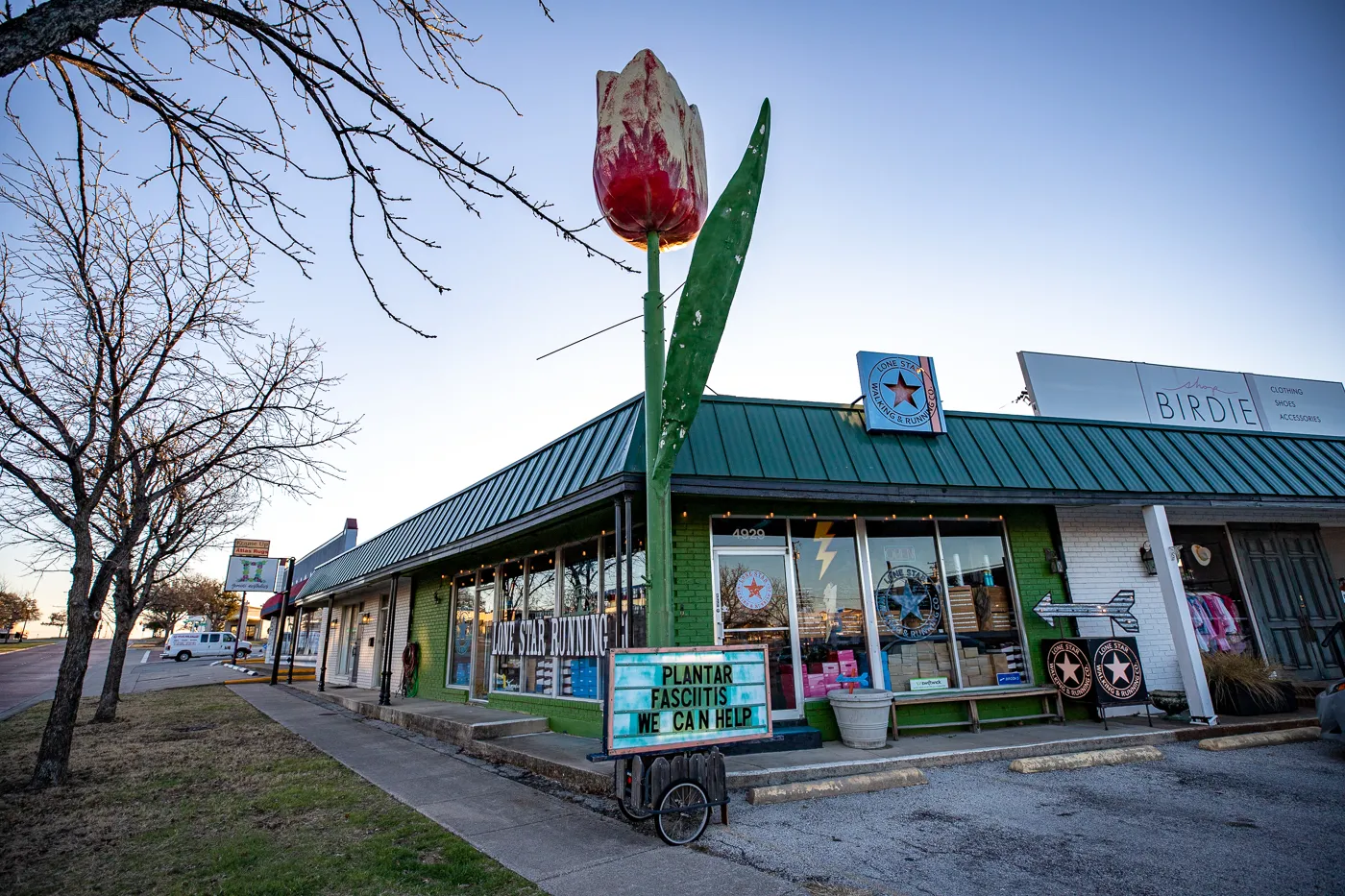 Giant Tulip in Fort Worth, Texas roadside attraction