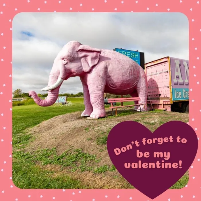 Roadside Attraction Valentines - Don't forget to be my Valentine! - Giant pink elephant at the Pink Elephant Antique Mall in Livingston, Illinois - Route 66 Roadside Attraction
