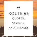 Route 66, the Mother Road, has inspired travelers for decades. This iconic road has taken its place in history as a pilgrimage that took people from east to west. The road has had a large influence on popular culture. books, movies, music, and the people who have traveled its path. It's no wonder Route 66 quotes, sayings, and phrases inspired by the Mother Road abound. Use these Route 66 quotes to inspire your next road trip or in TikTok or Instagram captions to express the journey. #Route66
