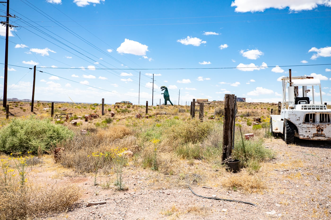 Giant dinosaur eating a woman at Stewart's Petrified Wood in Holbrook, Arizona Route 66 Roadside Attraction