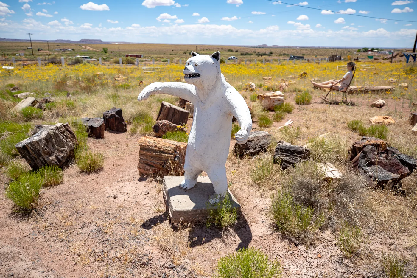Polar Bear at Stewart's Petrified Wood in Holbrook, Arizona Route 66 Roadside Attraction