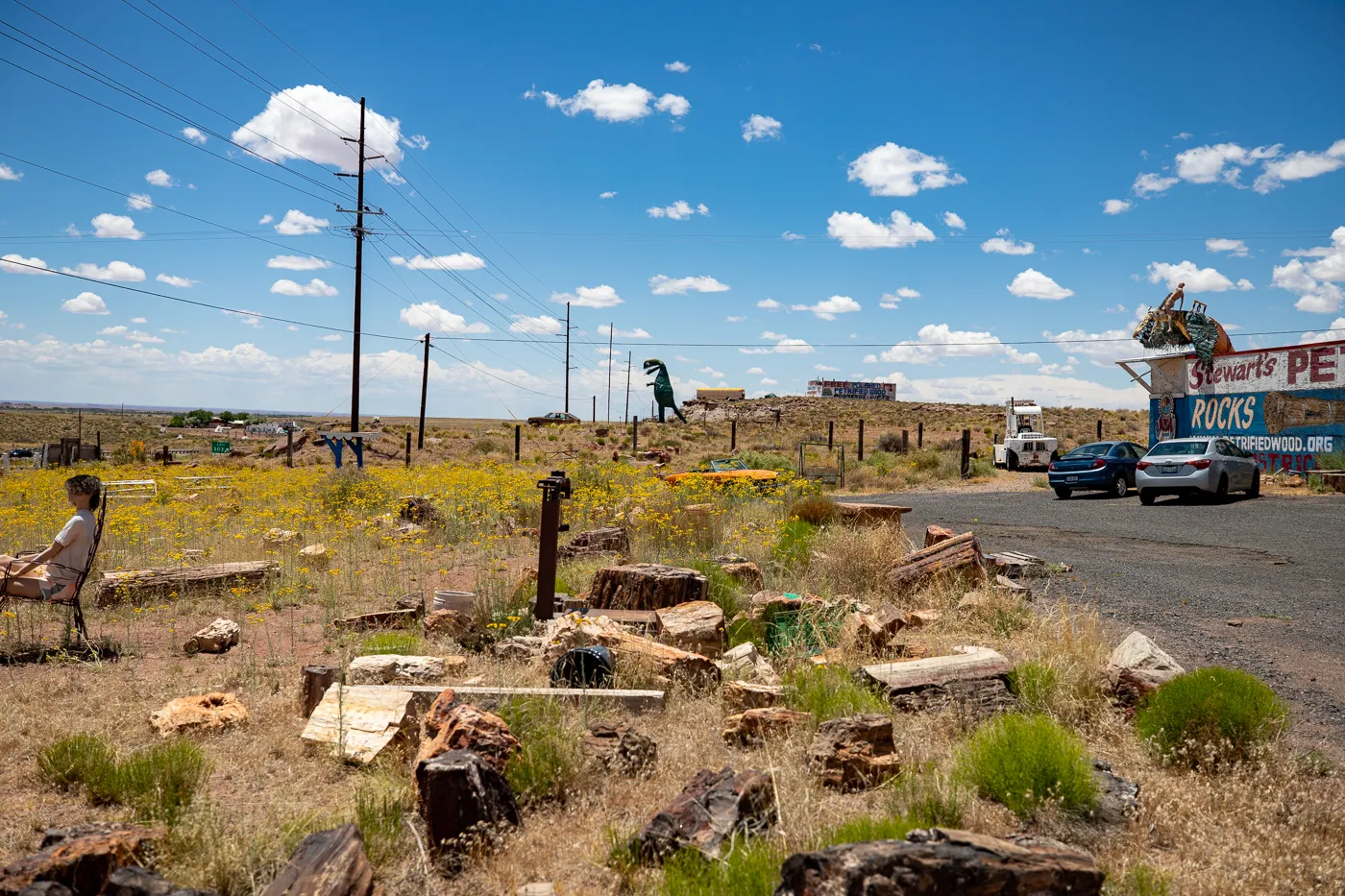Stewart's Petrified Wood in Holbrook, Arizona Route 66 Roadside Attraction