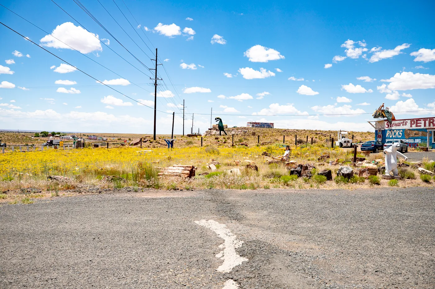 Stewart's Petrified Wood in Holbrook, Arizona Route 66 Roadside Attraction