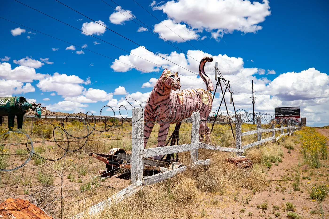 Giant tiger at Stewart's Petrified Wood in Holbrook, Arizona Route 66 Roadside Attraction