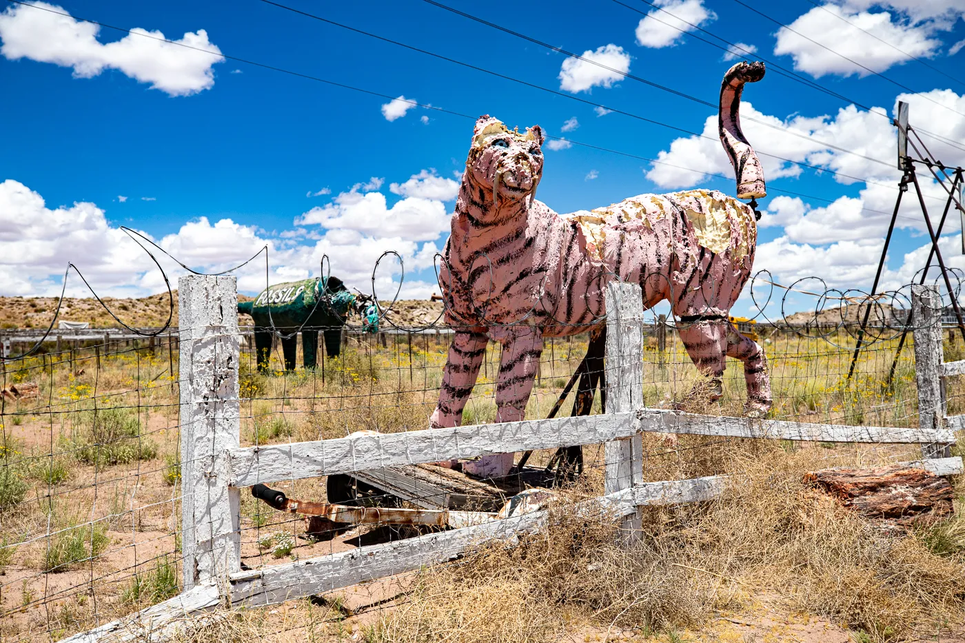 Giant tiger at Stewart's Petrified Wood in Holbrook, Arizona Route 66 Roadside Attraction